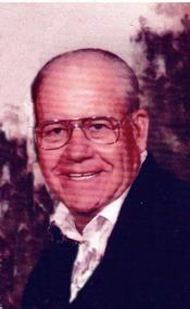 NICHOLAS M MEADOWS