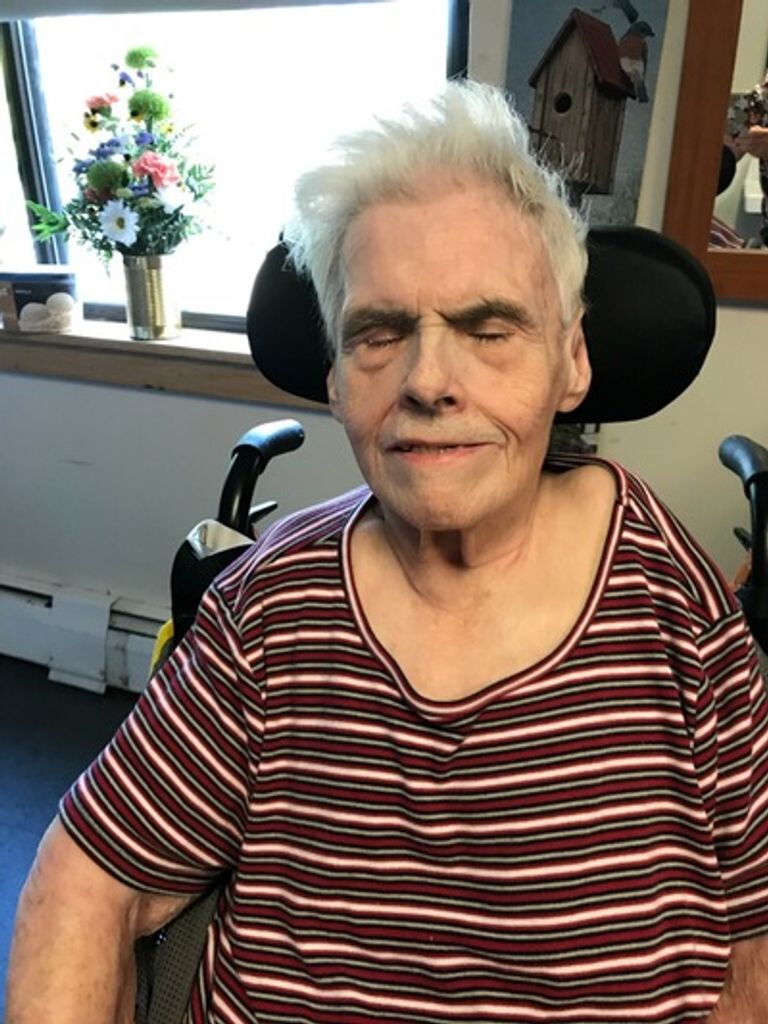 Ann Lorraine Radziwon Profile Photo