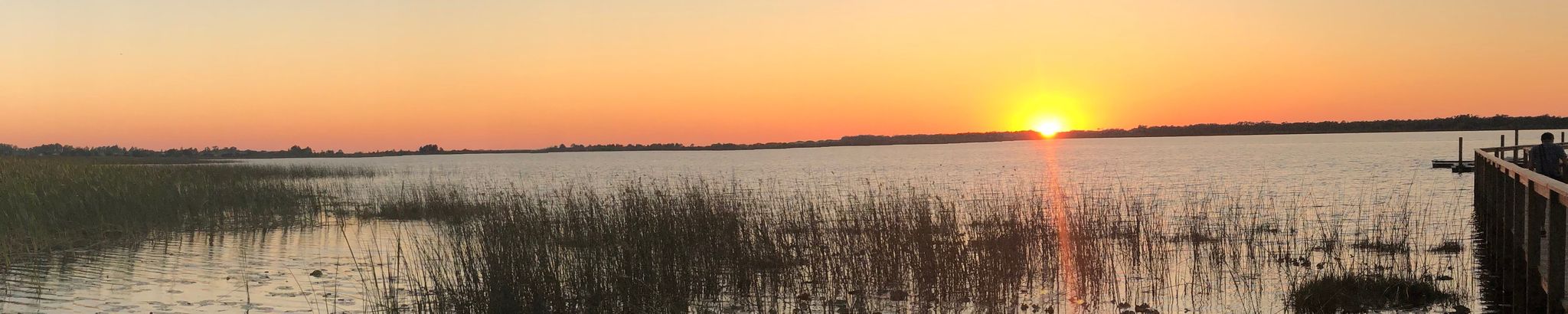 Cover for Richard E. Stevens's Obituary