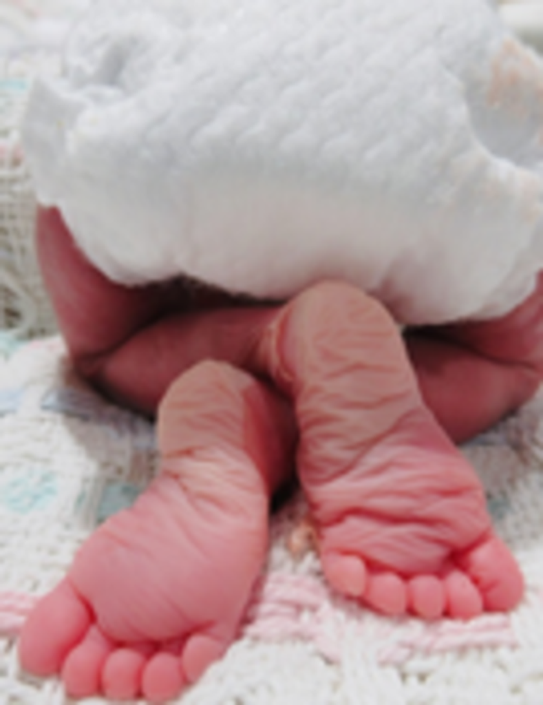 Clara Everlee Faith Esquivel