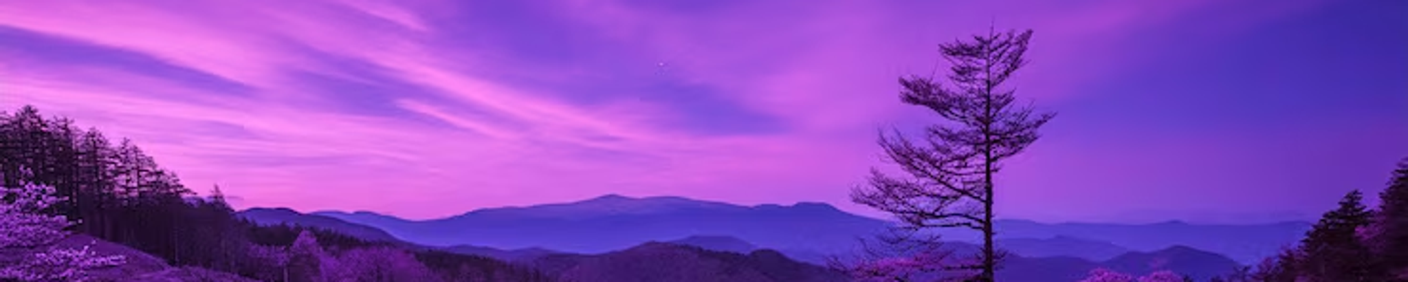 Cover for Lori Squirek's Obituary