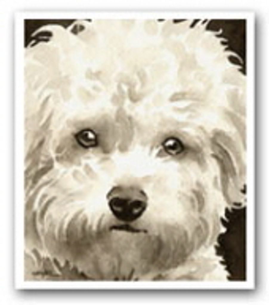 Buffy Johnson Profile Photo