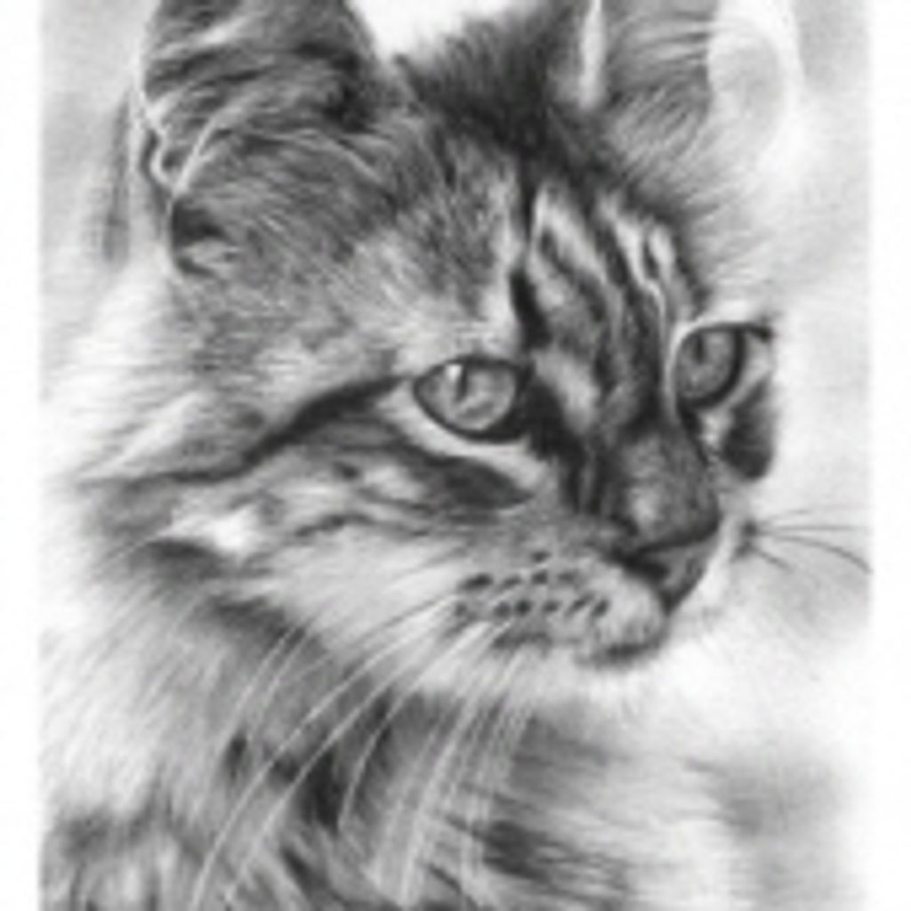 Kitty Albrant Profile Photo