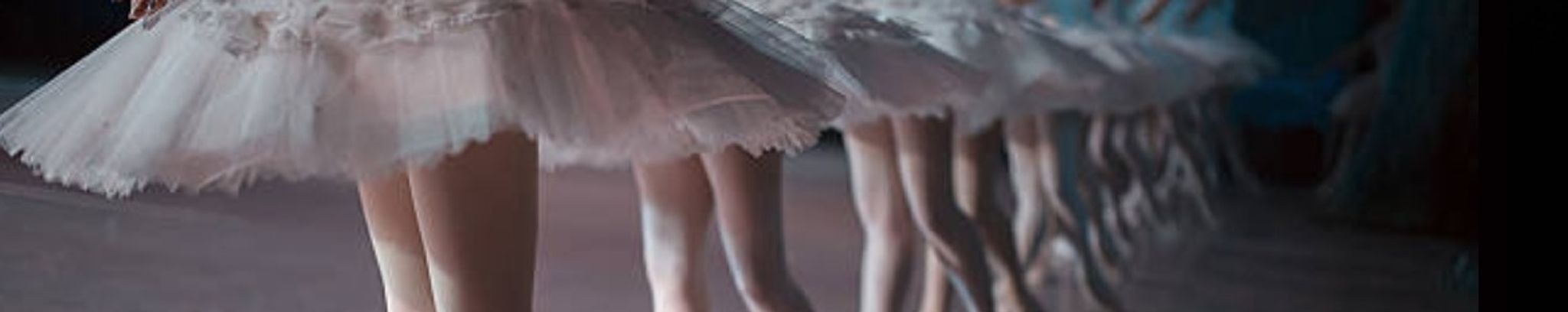 Cover for Judith Wiser McIntyre's Obituary