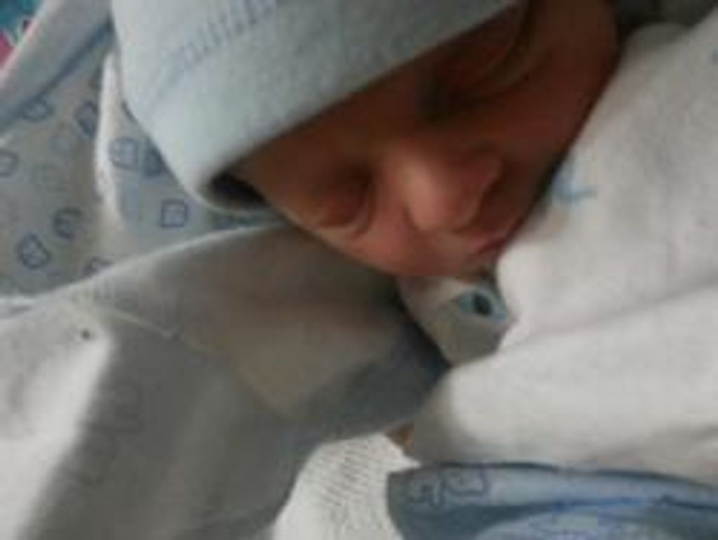 Tristan Alexander Hitchcock-Haifley