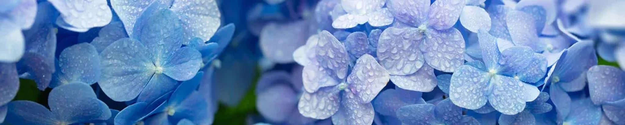 Cover photo for Rhonda Crutcher Byrd Lay's Obituary