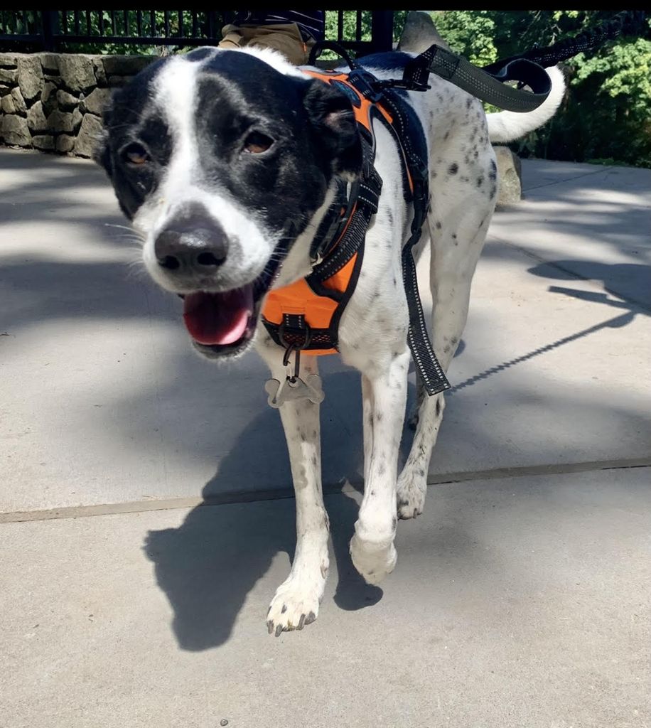 Annie Profile Photo