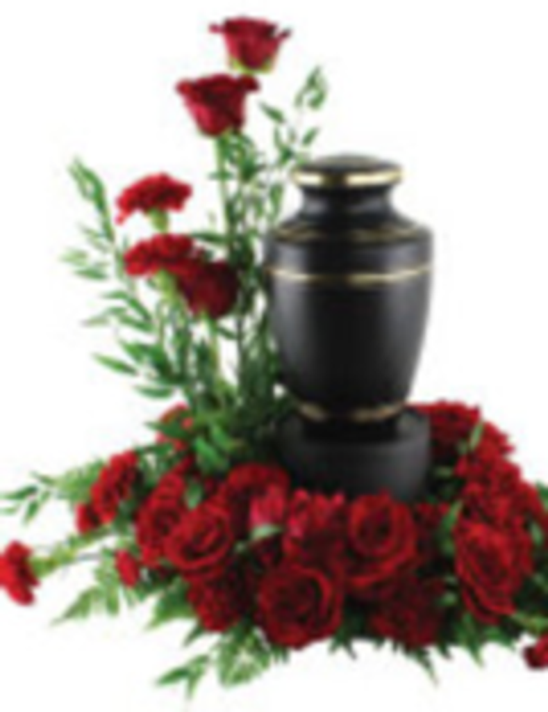 Mr. James Edward Amos