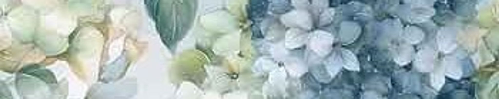 Cover for Cynthia Ruth Otto's Obituary