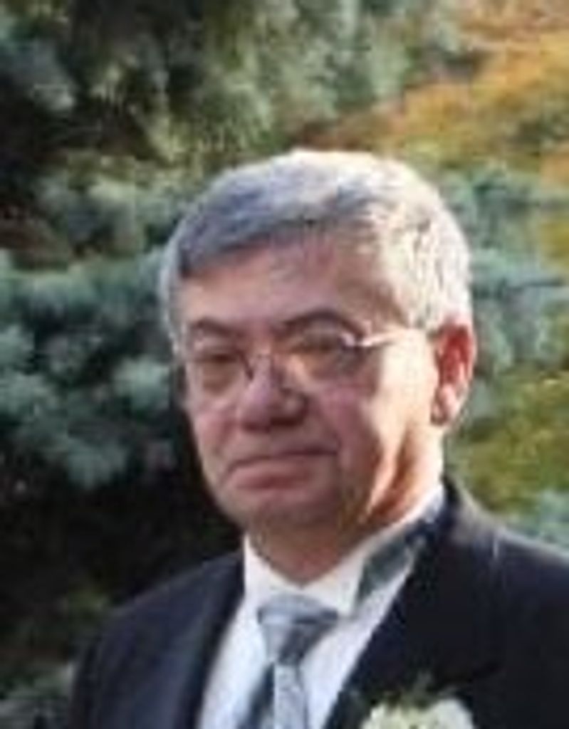 Domenico Volpe