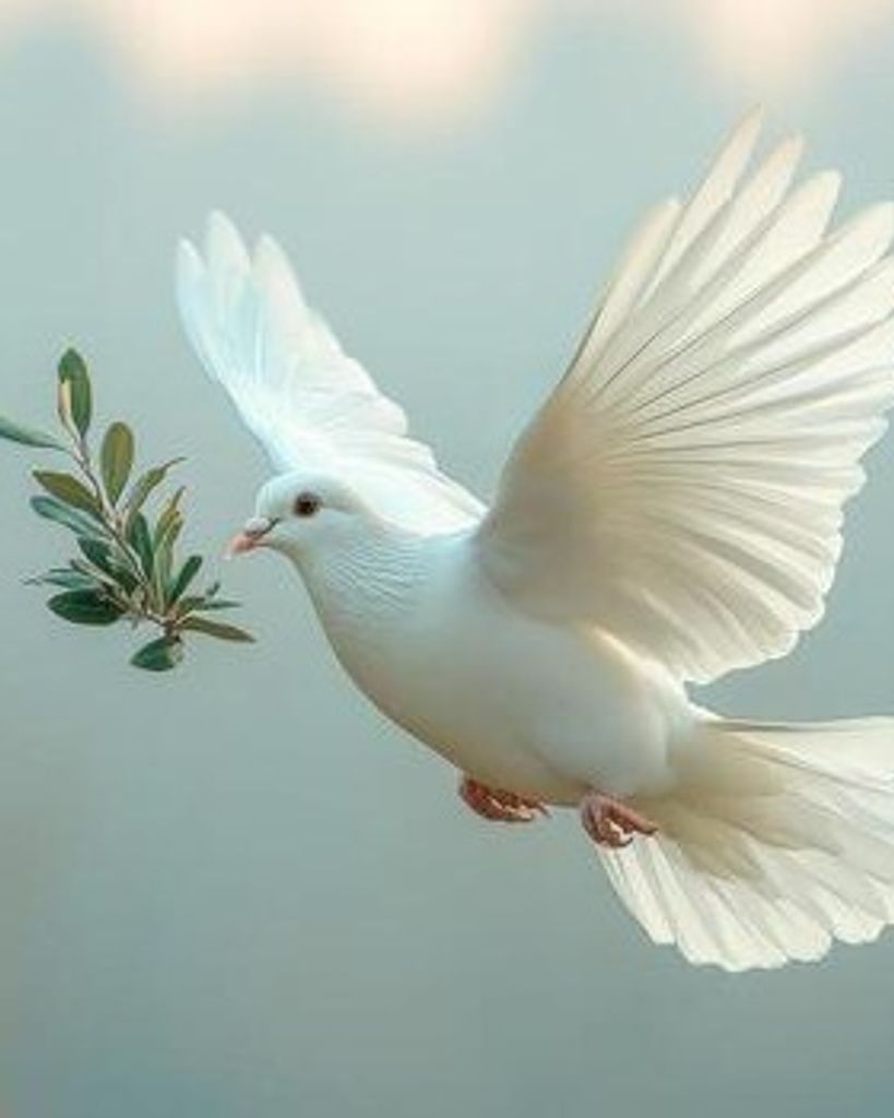 Mercedes Gonzalez Profile Photo