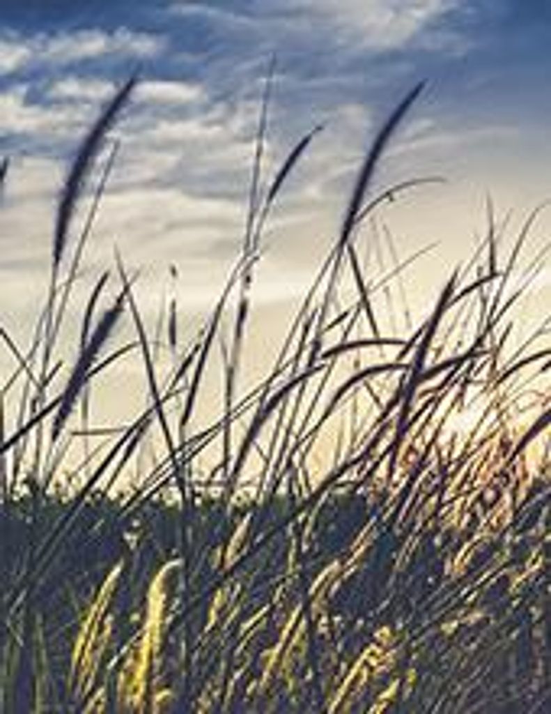 Johnnie Ray Kirkpatrick Profile Photo