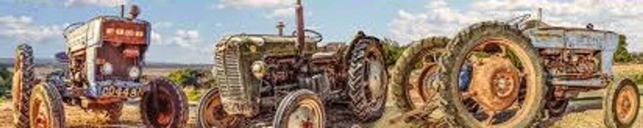 Cover photo for Ronnie Reynolds Dalton's Obituary