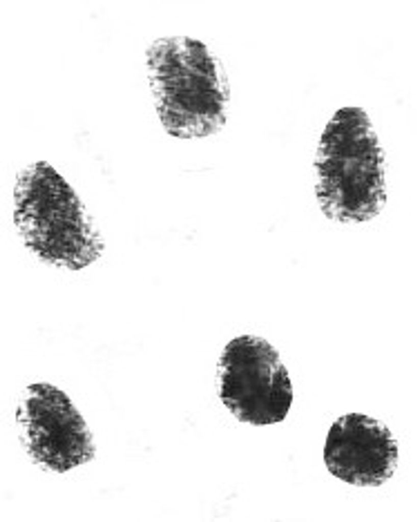Mabel Gentile Profile Photo