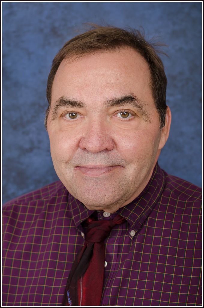 Daniel L. Heins