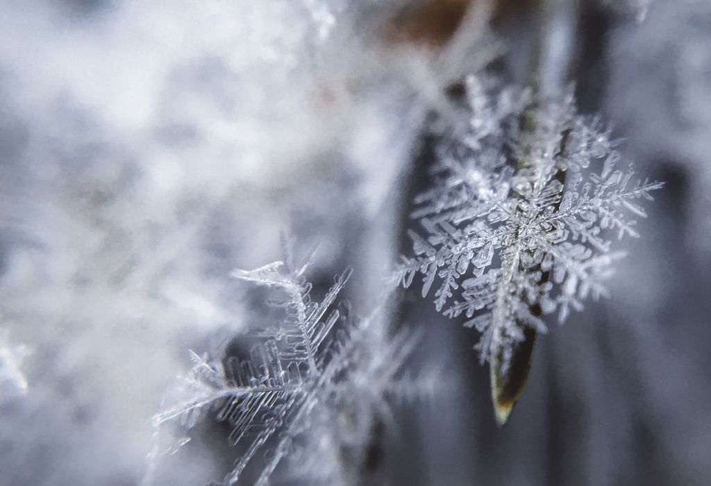 Lillian Roberts Gentry Profile Photo