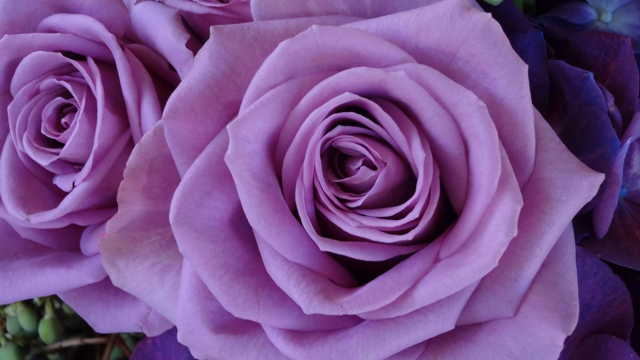 Cover for Jennifer Lynn Vigil's Obituary
