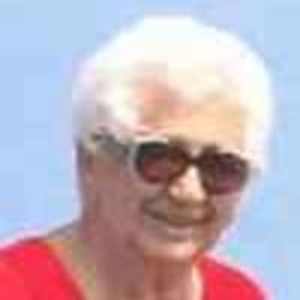 Barbara Anne ((Salomon)) Resnick Profile Photo