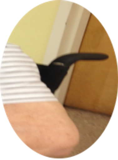 Mary Baccari Profile Photo