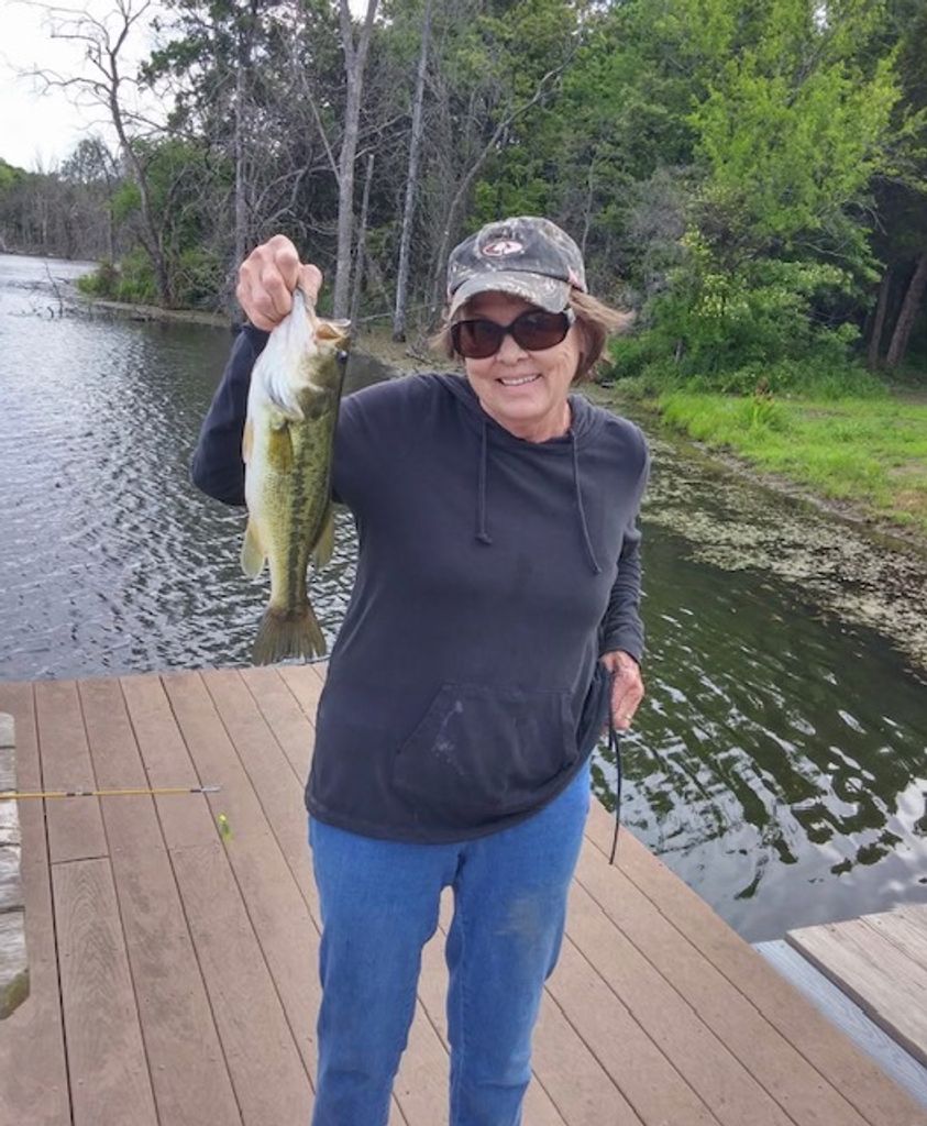 Shirley Anne Phillips Profile Photo