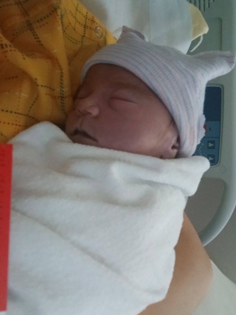 Aurora Evans Profile Photo