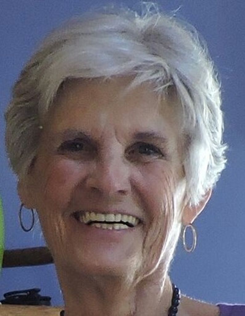 Judith Ann (Willis)  Bass