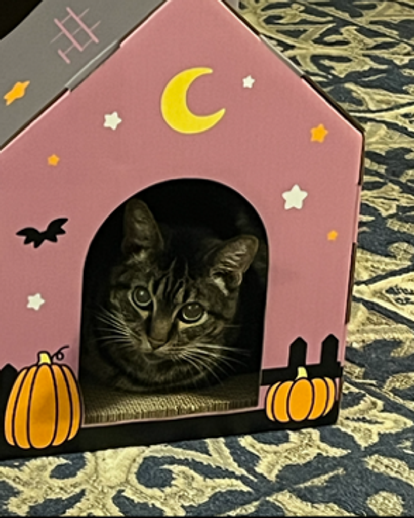 DeeDee Parker Profile Photo