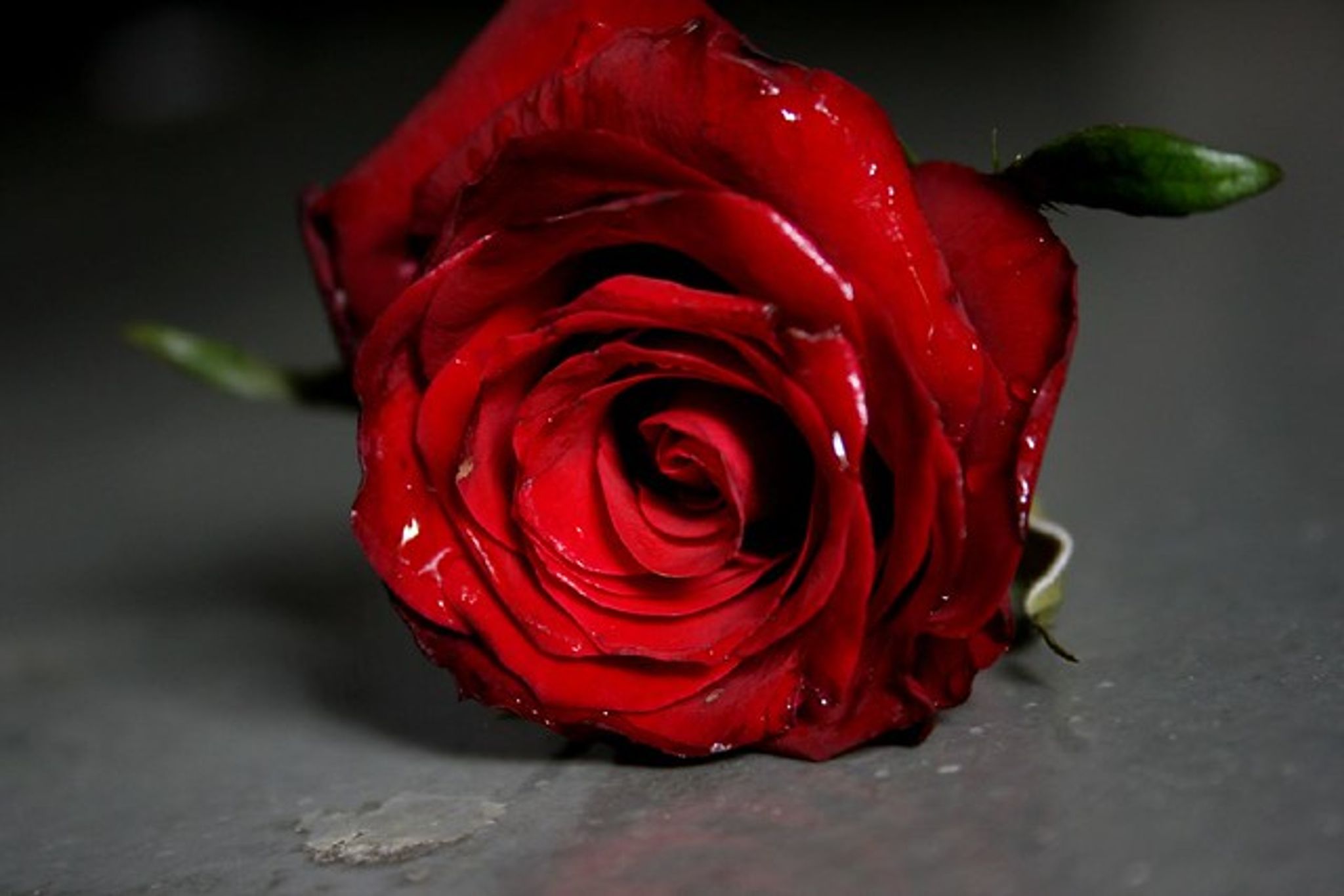 Cover photo for Vernecia Jacquelin Truss's Obituary
