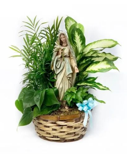 新品　未開封　オビチュアリー OBITUARY 7枚 Ann J Ringstad Obituary 2024 - The Co-op Funeral Home of
