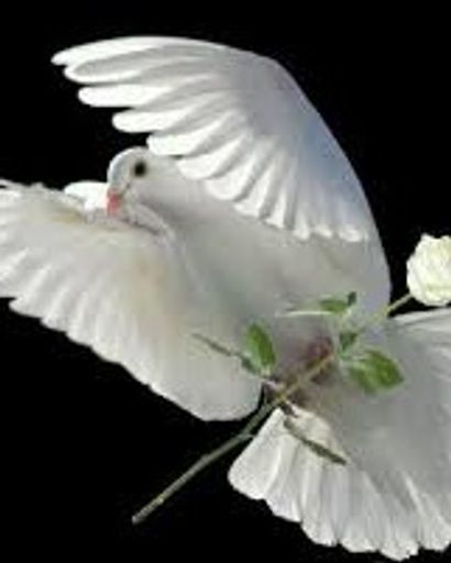 Alejandro E. Polich Arias '39''s obituary image