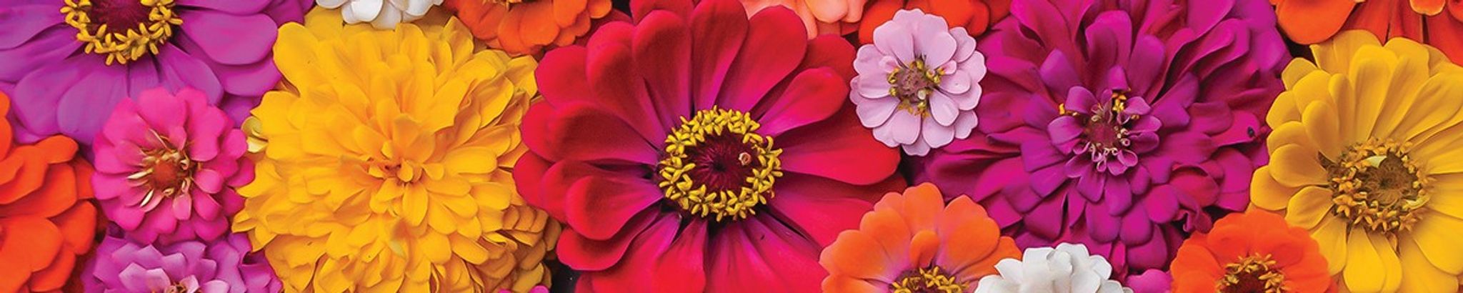 Cover for Nancy Thompson Jenkins's Obituary