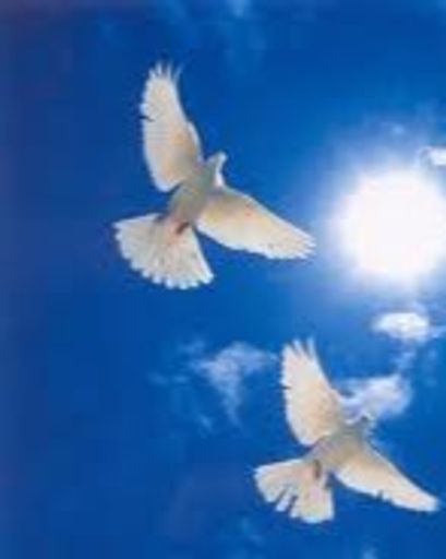 David Wayne Fowler ( 58 )'s obituary image