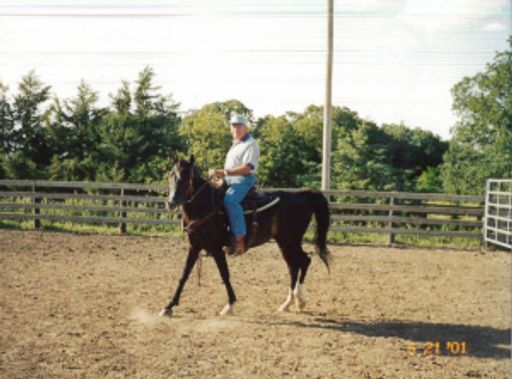 Russell Knuth photo gallery thumbnail 39 of 81