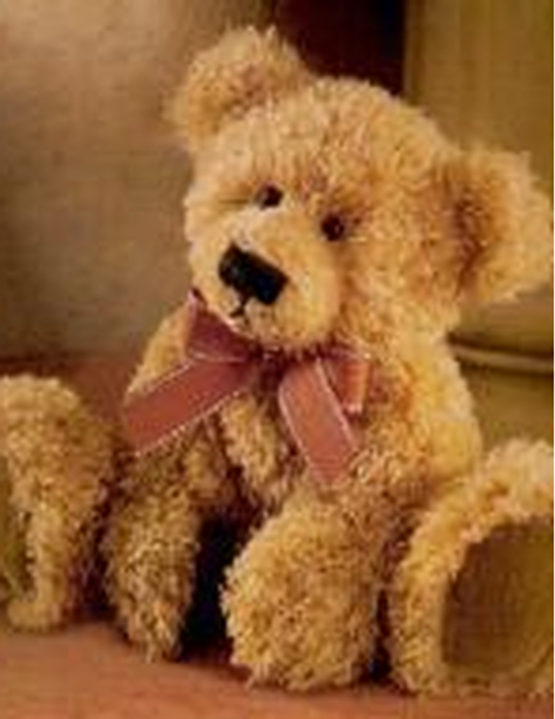 Rialey Sapp Donnelly