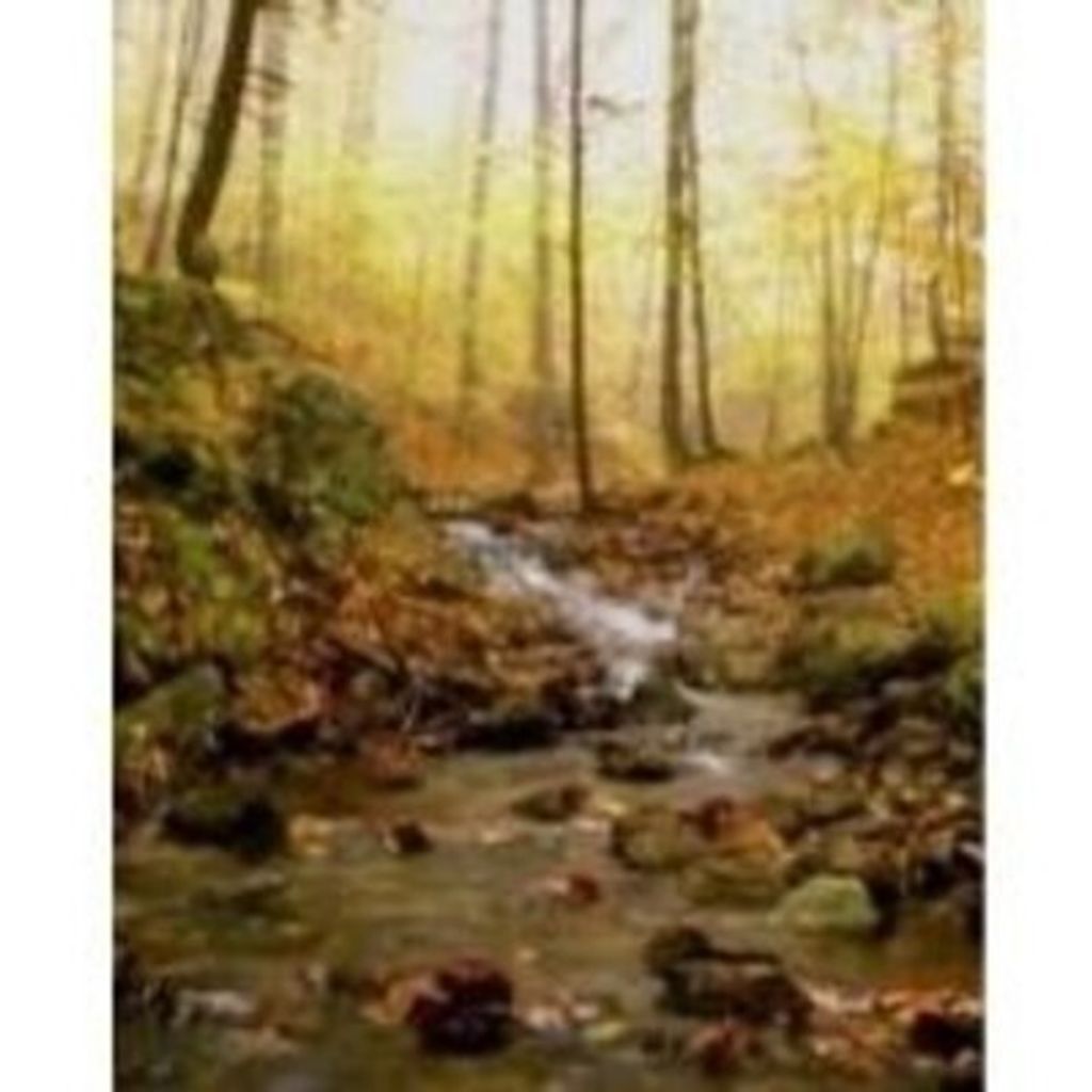 H. Richard "Ricky" Rowland