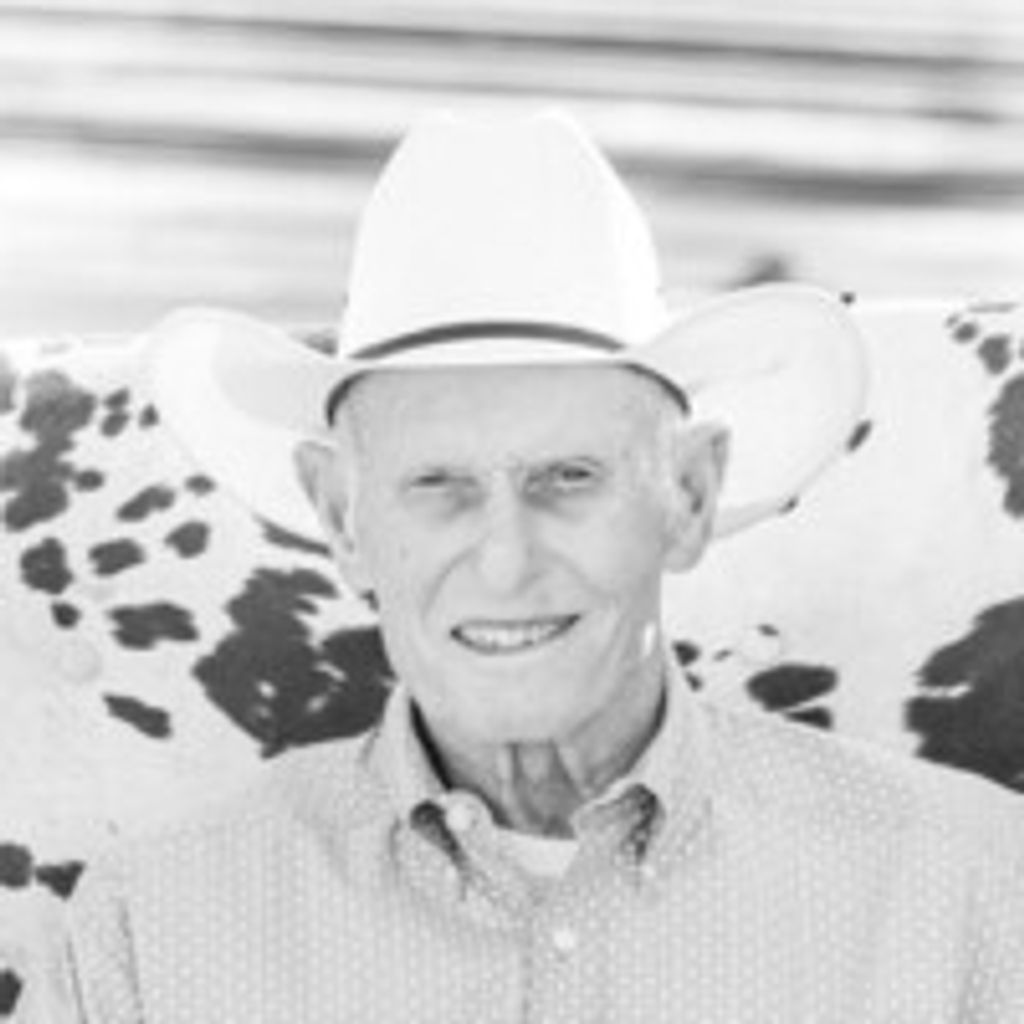 Harold Brown Profile Photo