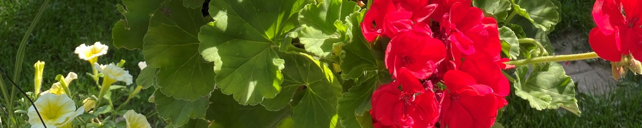 Cover photo for Douglas Davison's Obituary