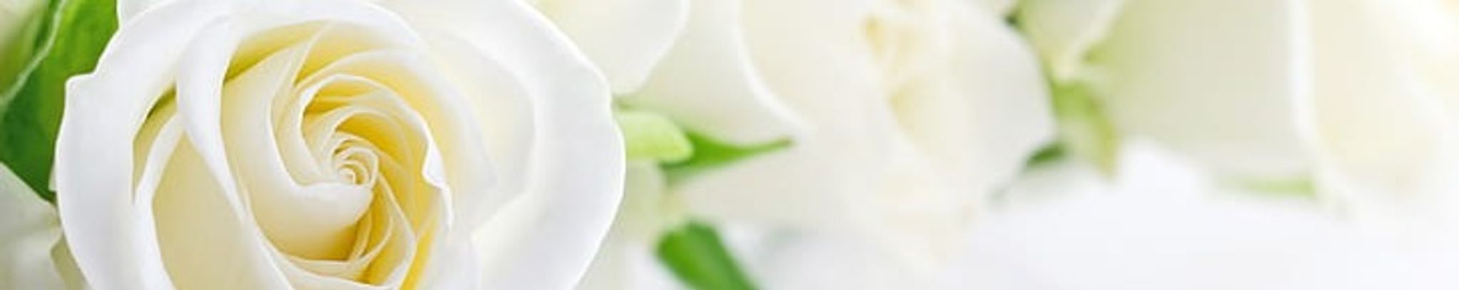 Cover photo for Santa Massullo's Obituary