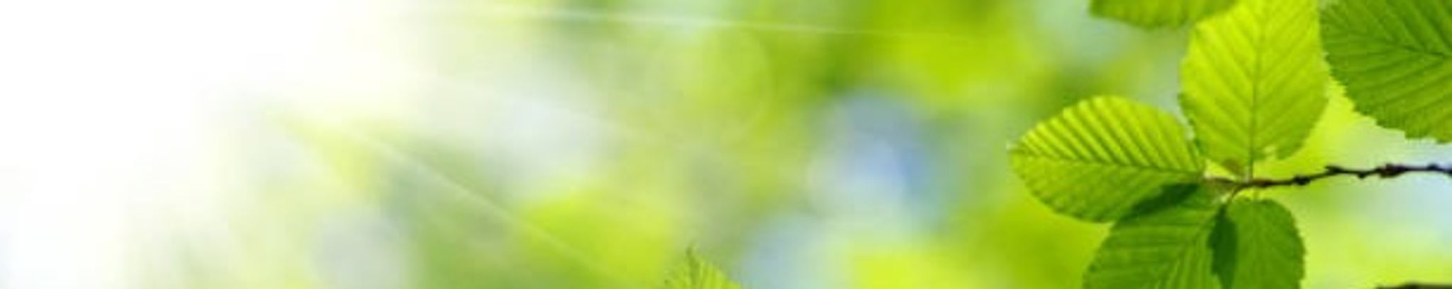 Cover for Sonny Southerland's Obituary