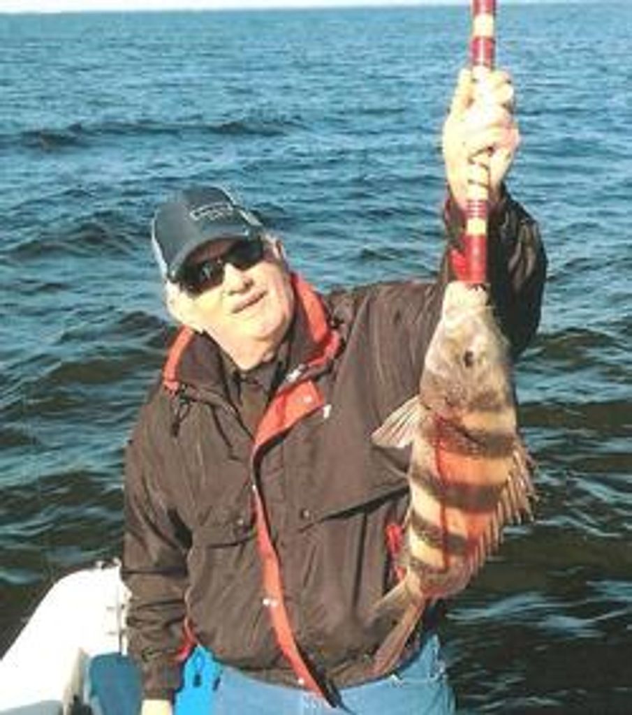 Donald Milholland Profile Photo