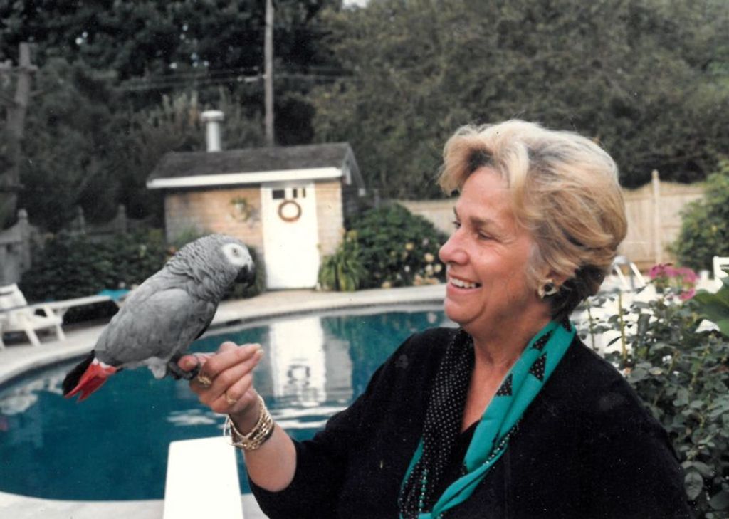 Mary Ellen Fatulli Profile Photo