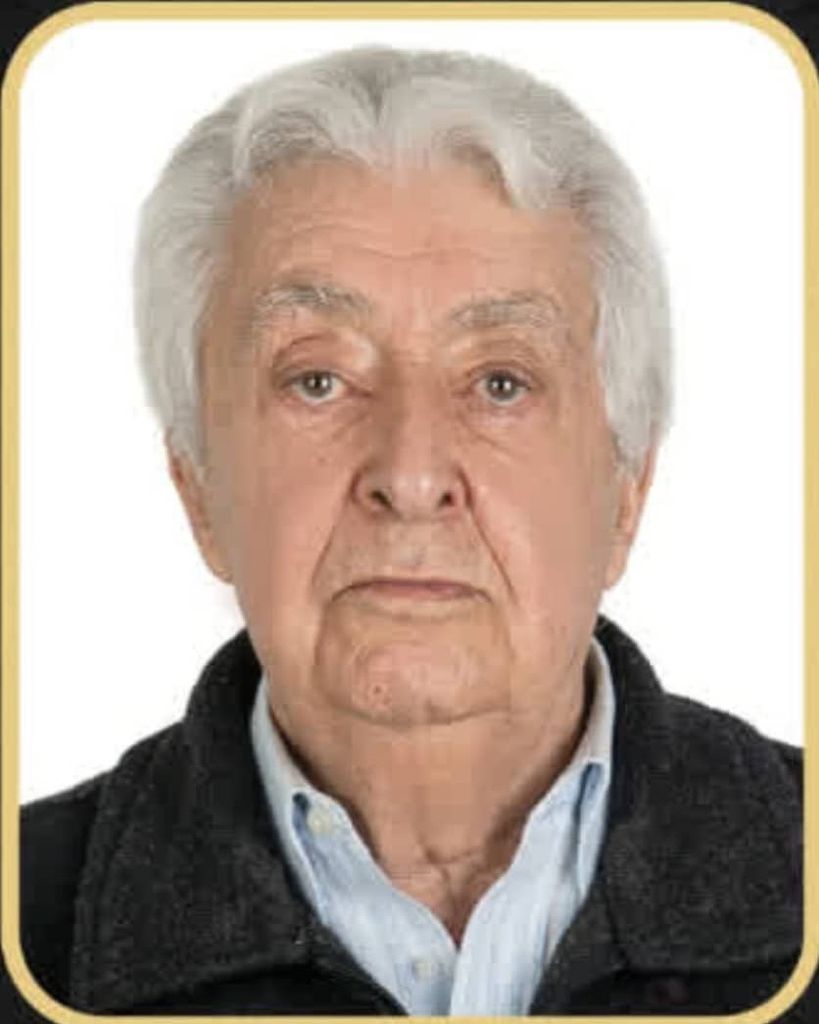 SEYED MOHAMMED ROHENY