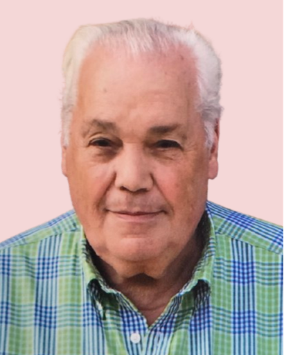 Domenico Nuzzo's obituary image