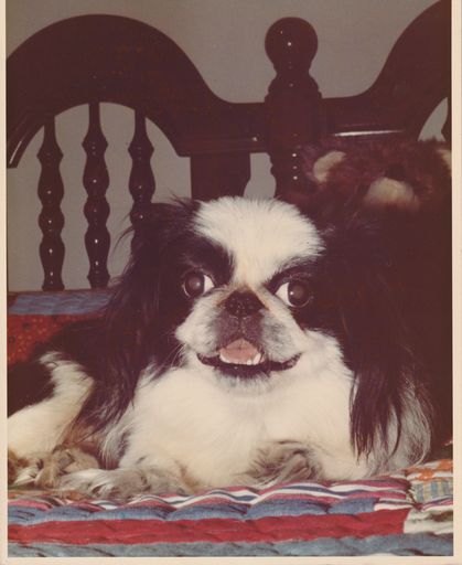 Dana L. Godfrey Baker photo gallery thumbnail 8 of 11