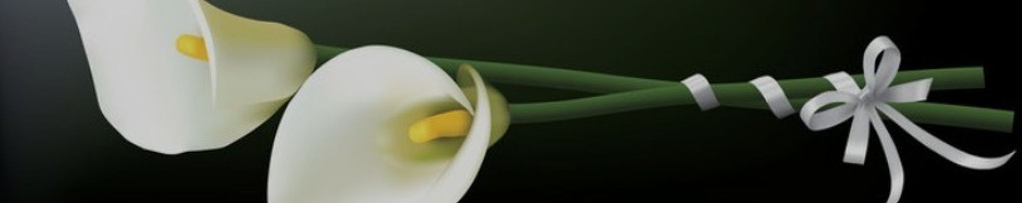 Cover photo for Cecilia "Jenny" Edna Virden's Obituary