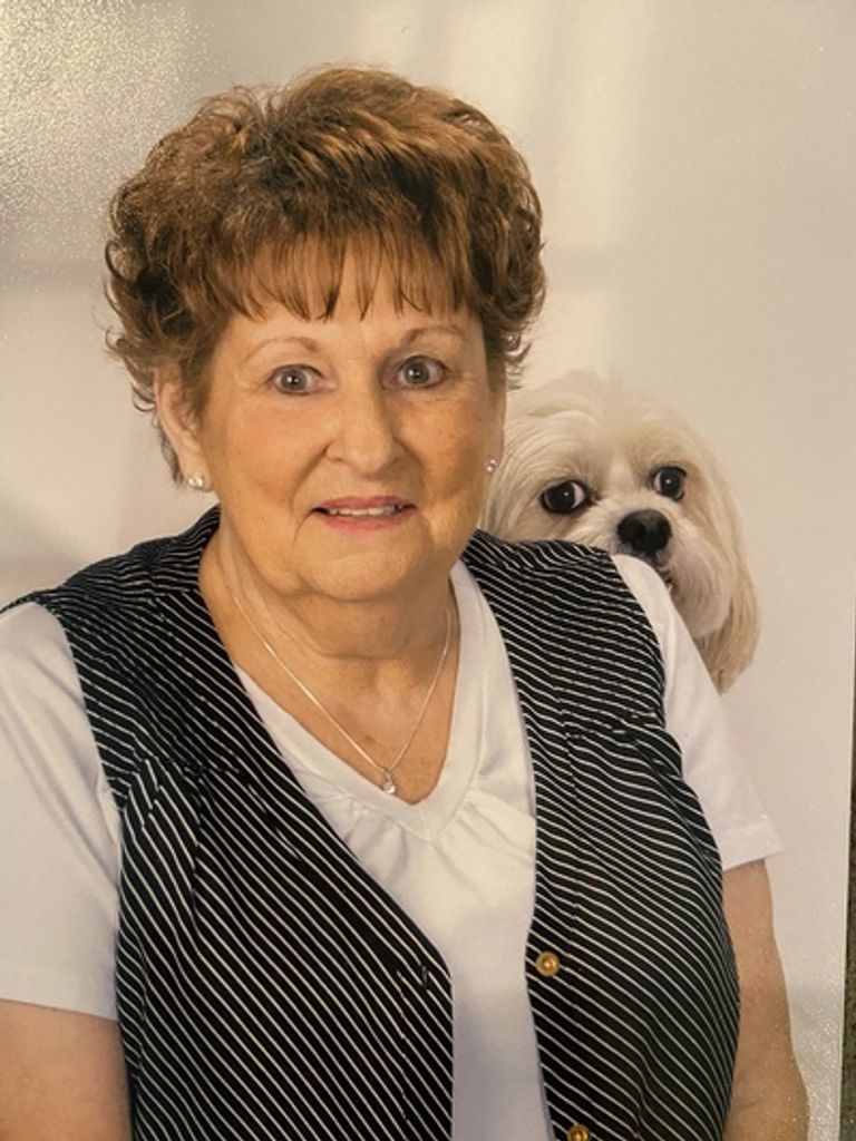 Drucilla Helle Profile Photo