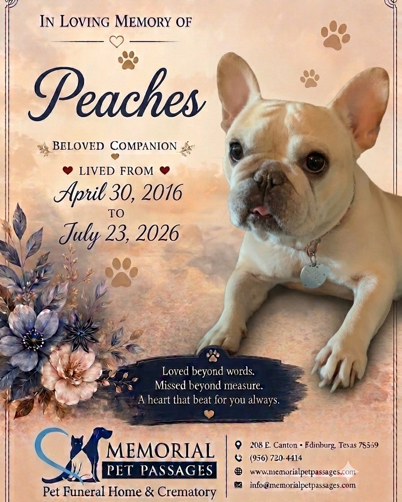 Peaches Profile Photo