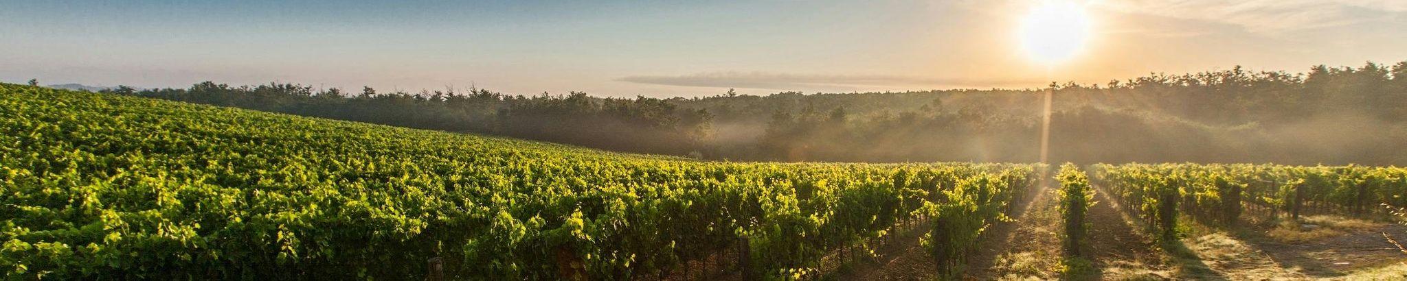 Cover for Stephen Daniel Doughty's Obituary