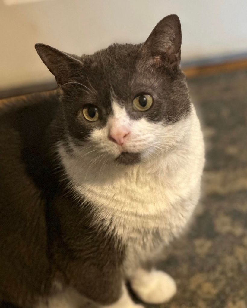 Little Foot Beausoleil