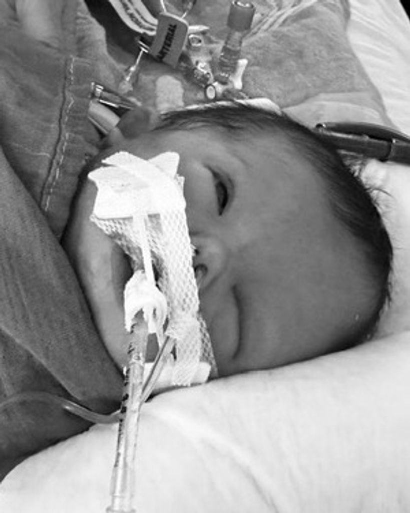 Zoey Hope Bertolina Profile Photo